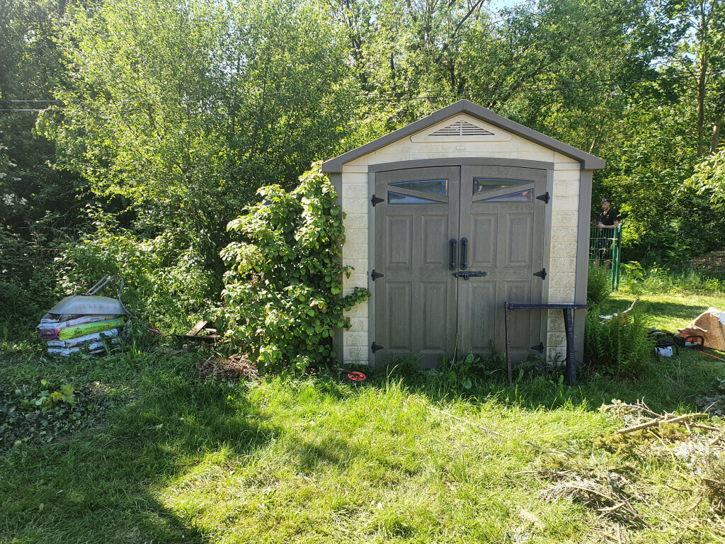 Bilder King of Greens