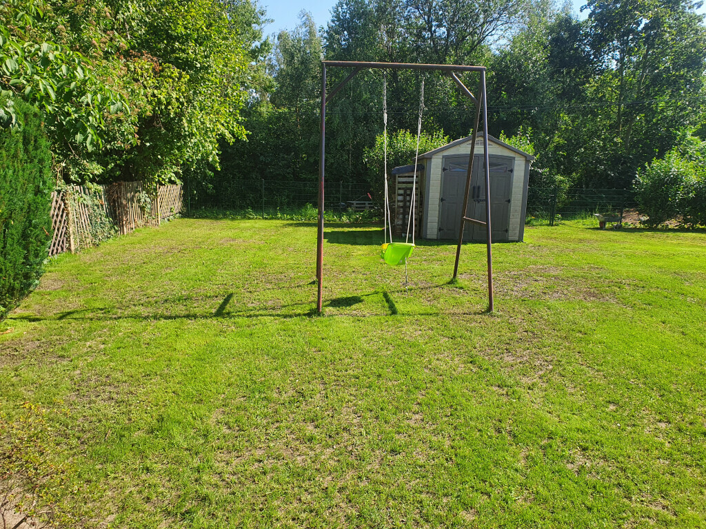 Bilder King of Greens