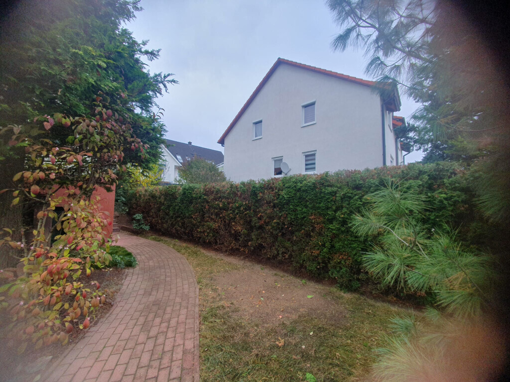 Bilder King of Greens