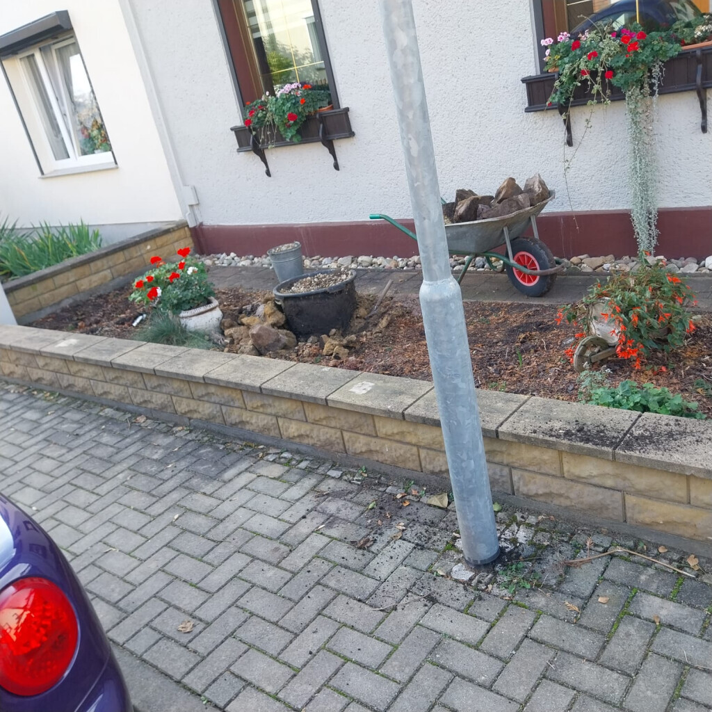 Bilder King of Greens