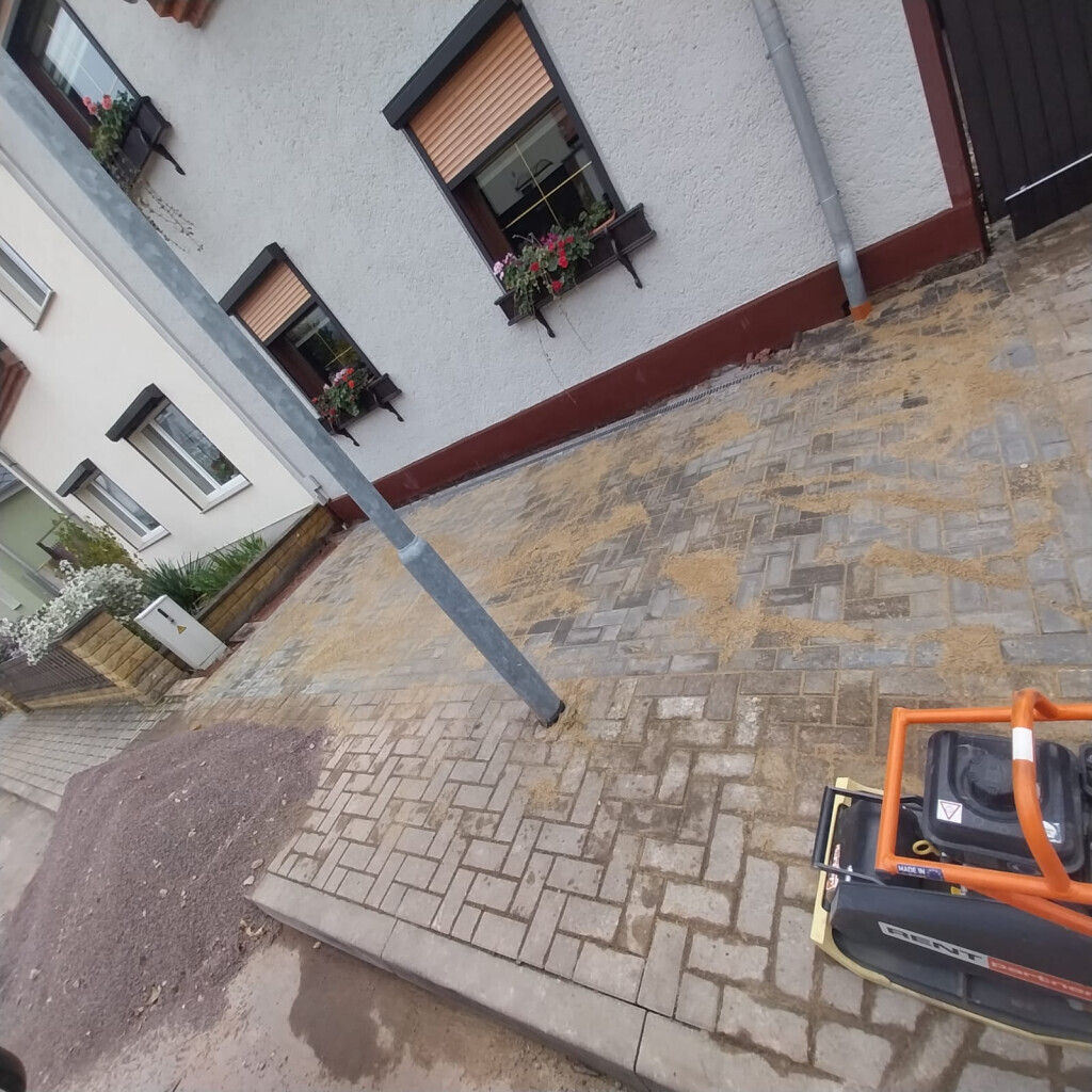 Bilder King of Greens