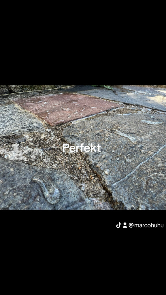 Bilder ML Steinreinigung & Hausmeisterservice