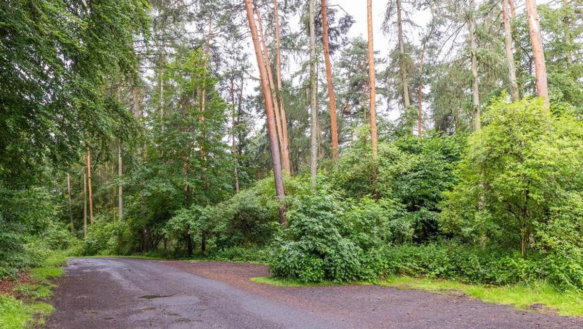 Bilder FriedWald Gelnhausen - Hailer