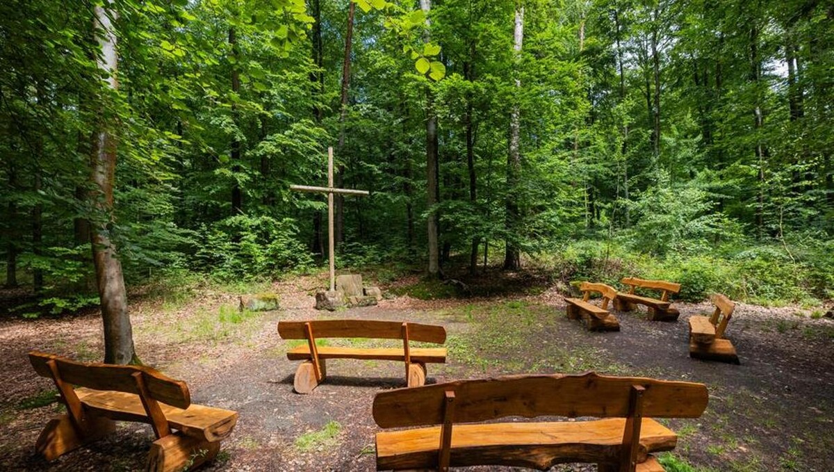 Bilder FriedWald Gelnhausen - Hailer