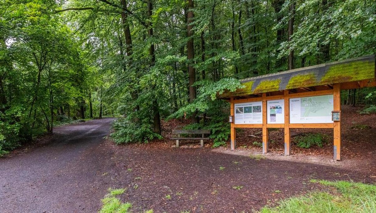 Bilder FriedWald Gelnhausen - Hailer