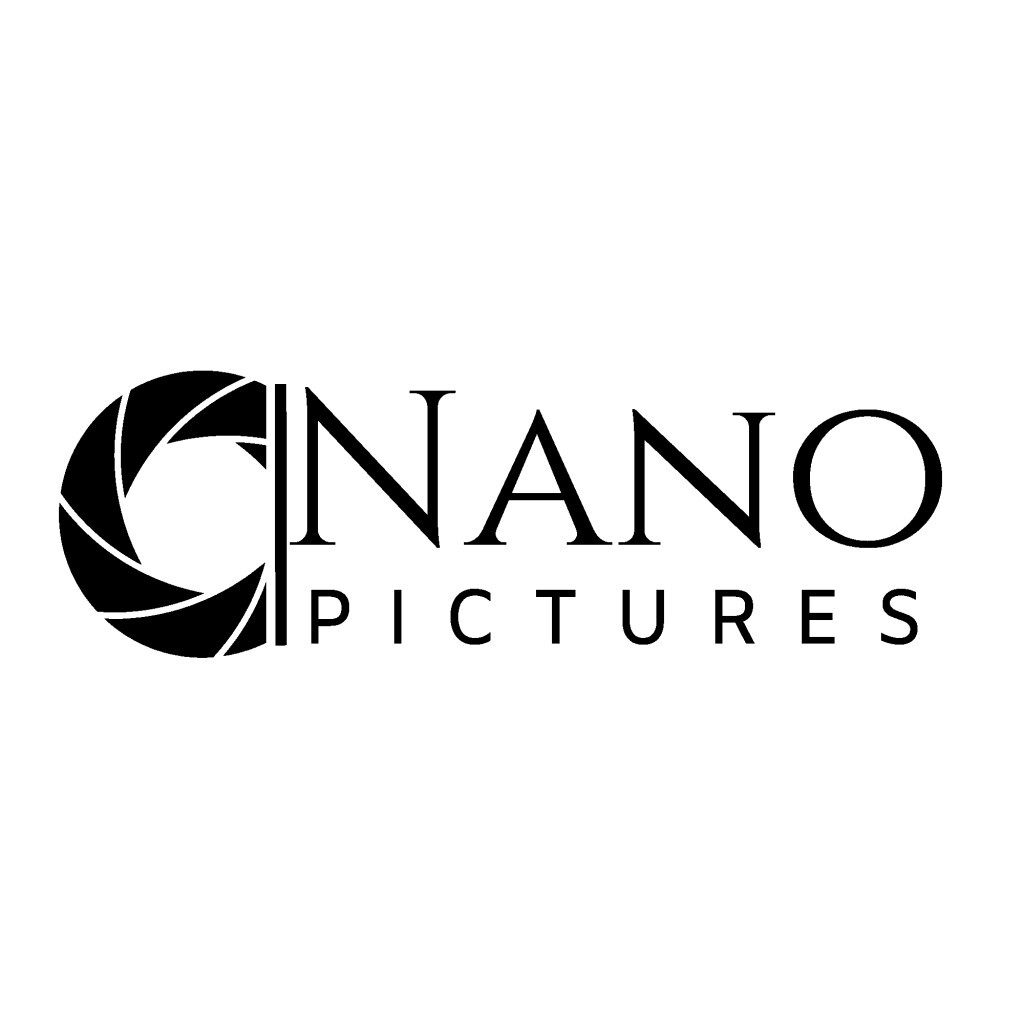 NanoPictures Logo