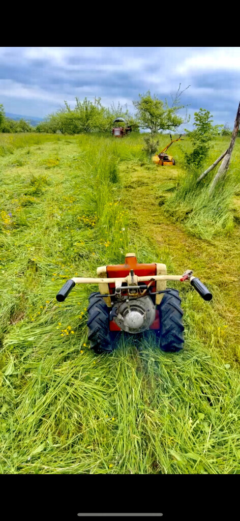 Bilder Garten-& Landschaftspflege Tobias Schwarz