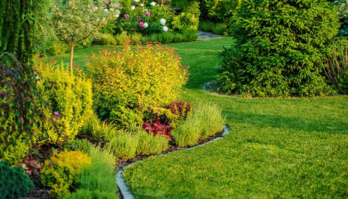 Bilder Die Alltagsengel