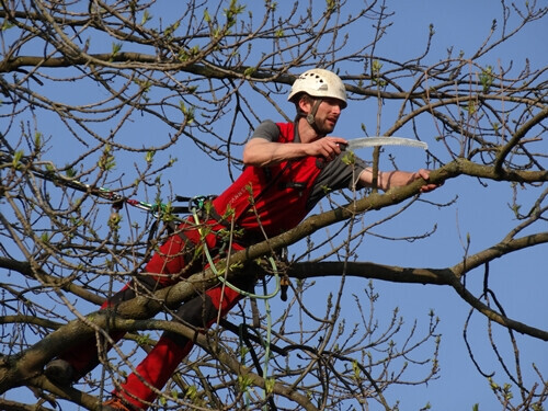 Bilder SEILTECHNIK LEESE