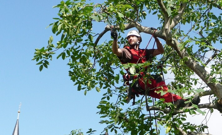 Bilder SEILTECHNIK LEESE