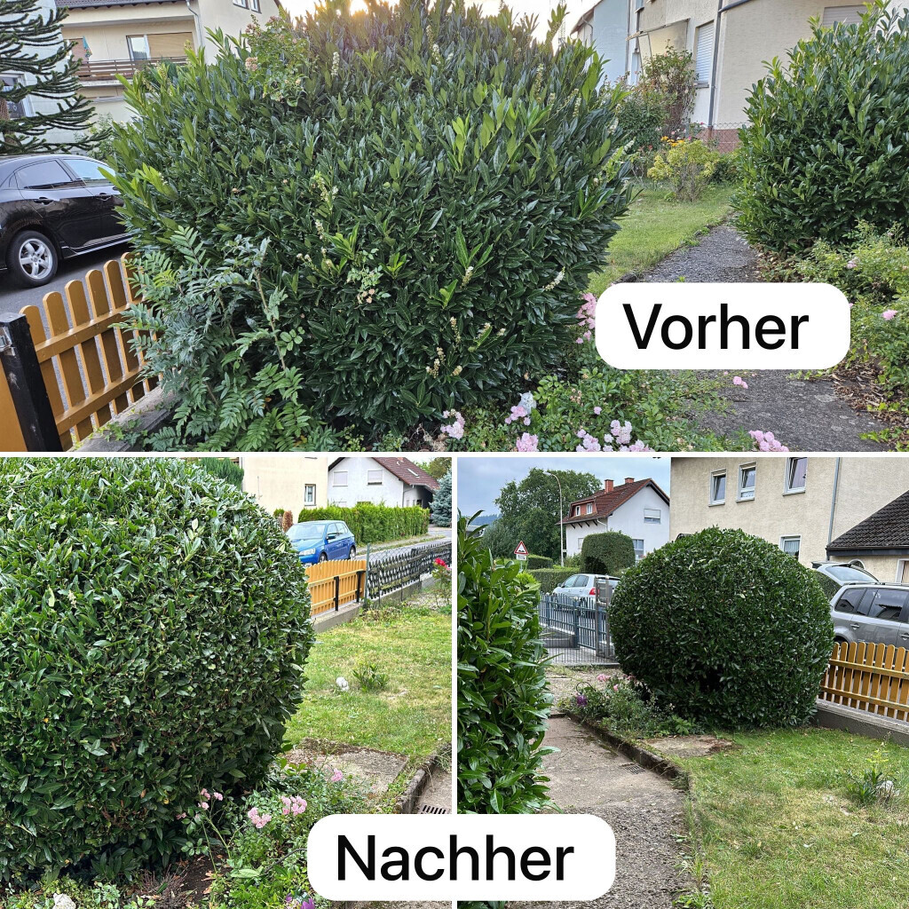 Bilder Grubers Entrümpelung + Hausmeisterservice und Tatortreinigung