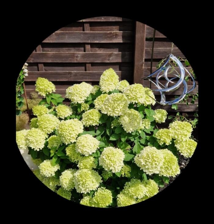 Bilder Haus Veronika