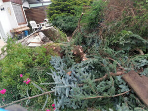 Bilder Nushi Garten- und Landschaftsbau & Hausmeisterservice