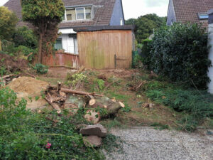 Bilder Nushi Garten- und Landschaftsbau & Hausmeisterservice