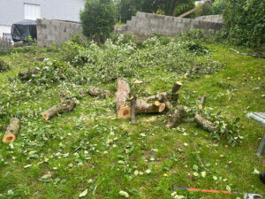 Bilder Nushi Garten- und Landschaftsbau & Hausmeisterservice