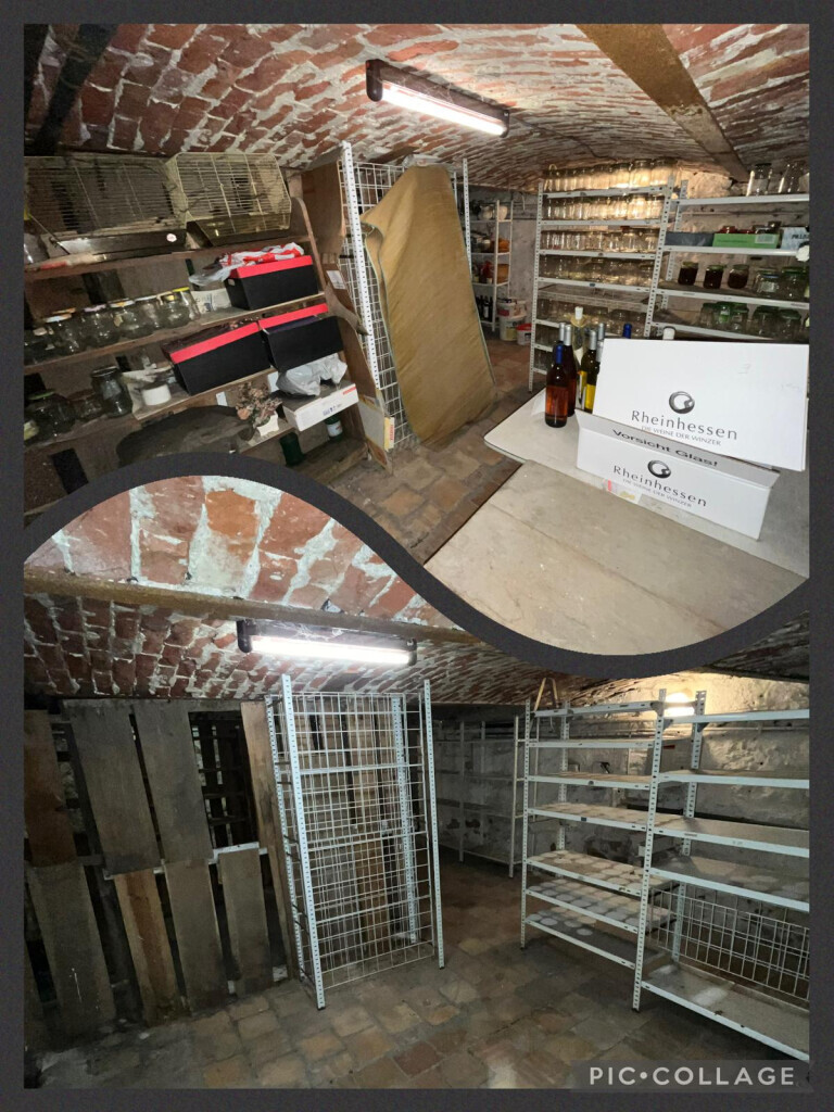 Bilder Rümpel-Pioniere