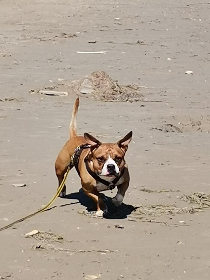 Bilder Ferienwohnung Fewo Plaggenburg