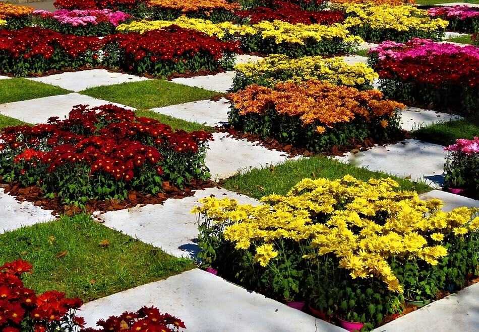 Bilder Jakobs Dienstleistung