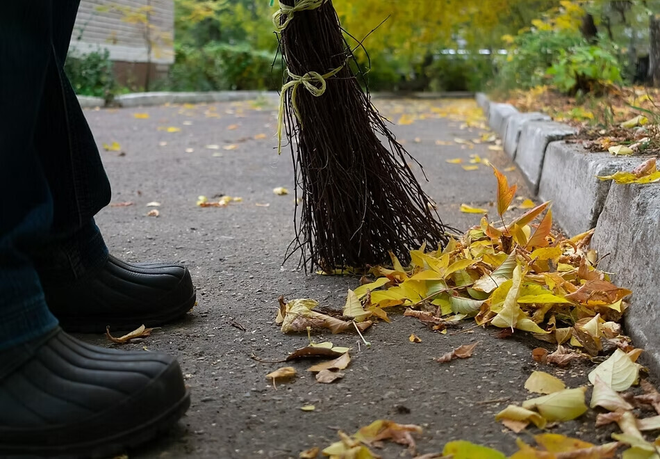 Bilder Jakobs Dienstleistung