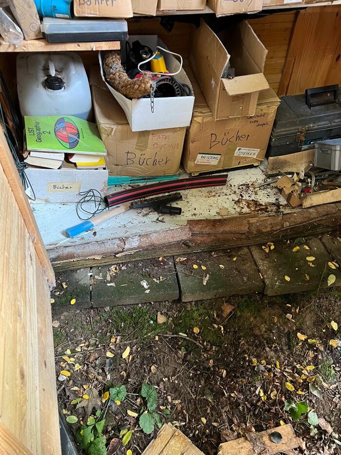 Bilder OSO Entrümpelung & Umzugsservice