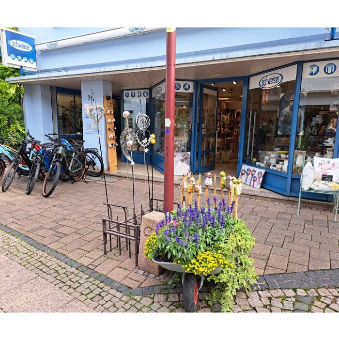 Bilder Fahrräder Schweizer, Haushaltswaren & Geschenke