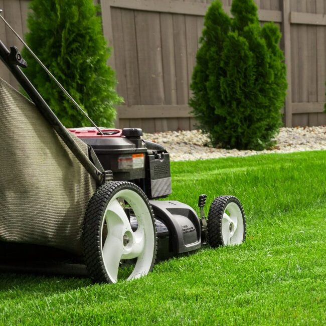 Bilder MPO Gebäudereinigung & Dienstleistungen