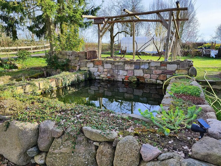 Bilder Wurzel & Blüte