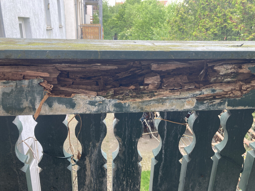 Bilder Milbrecht Dienstleistungen