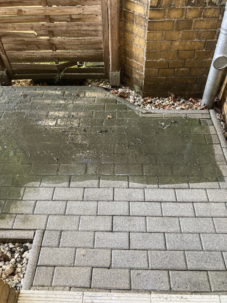 Bilder Milbrecht Dienstleistungen