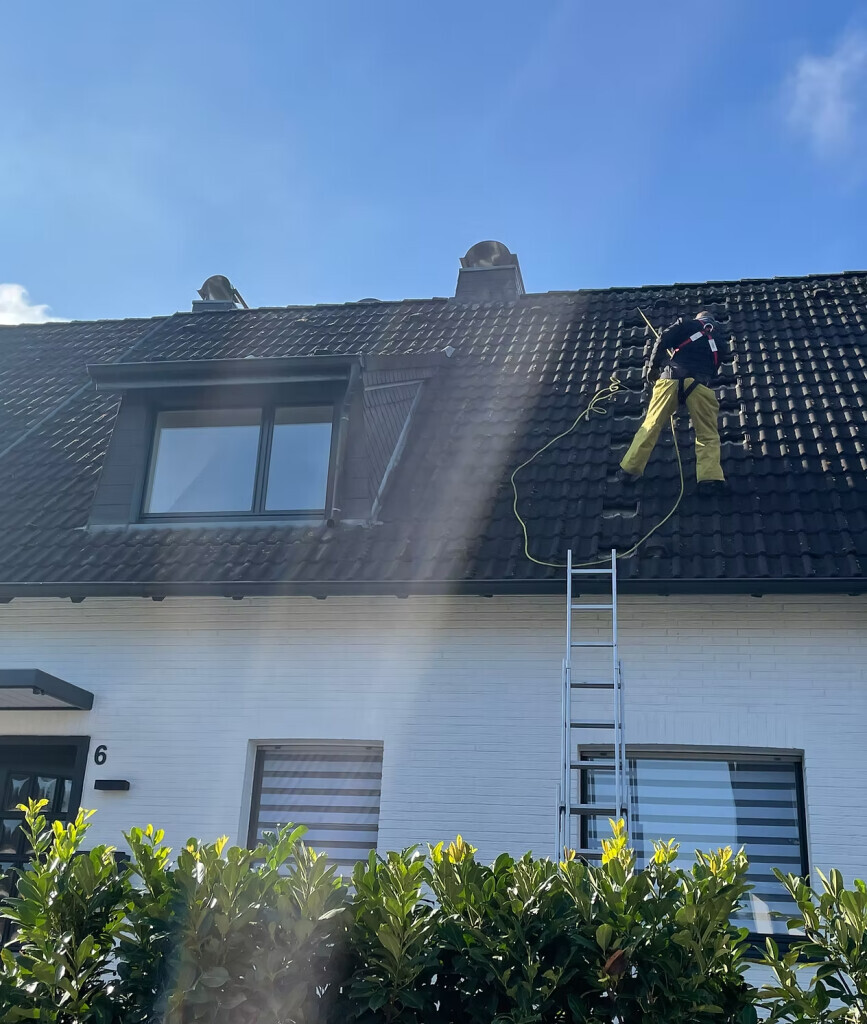 Bilder Dachservice Schopper