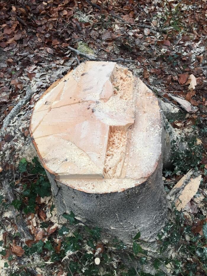 Bilder Winterhalterhof