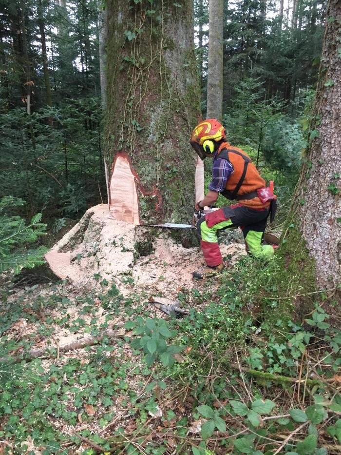 Bilder Winterhalterhof