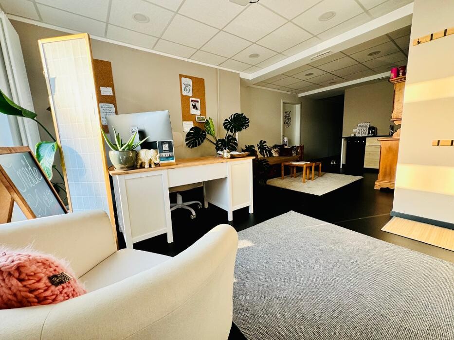 Bilder LRY - Yogastudio