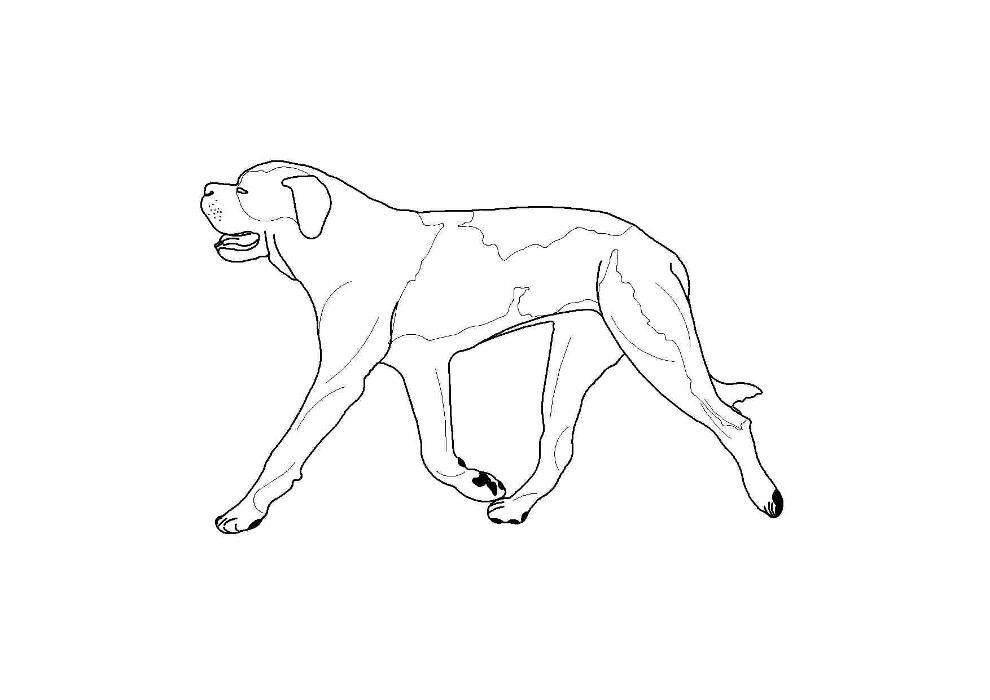 CaniVital mobile Physiotherapie für Hunde Logo