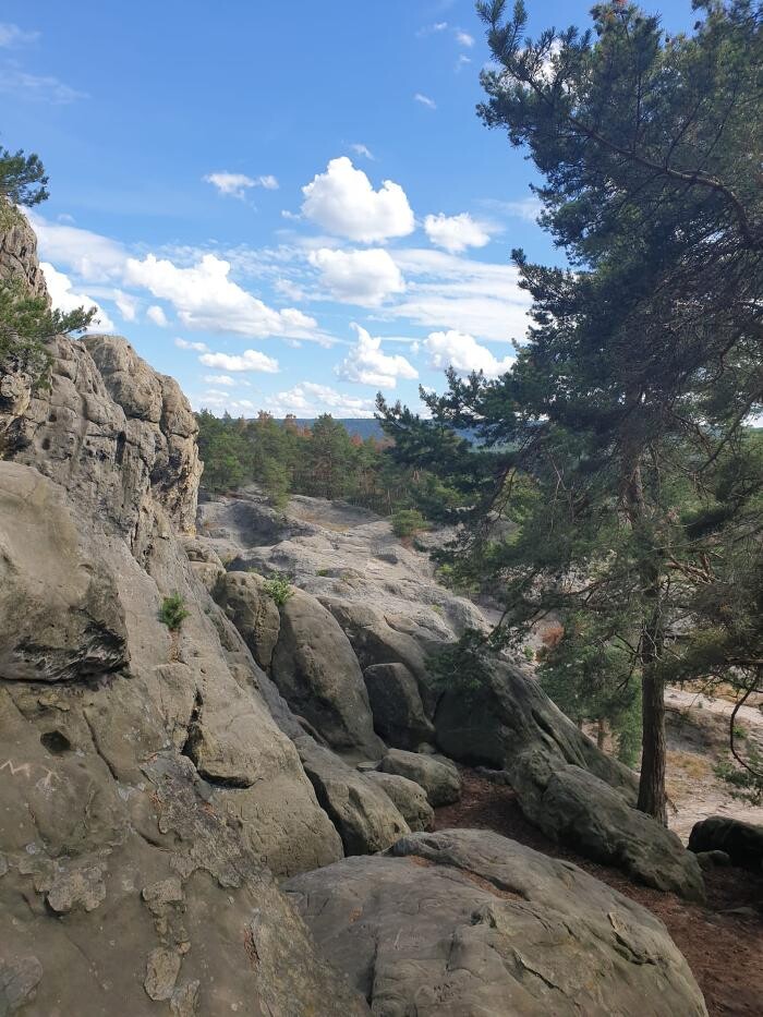 Bilder Wildnisschule Naturgefühl
