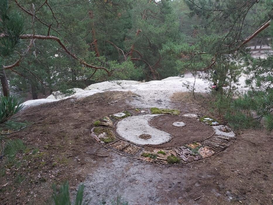 Bilder Wildnisschule Naturgefühl
