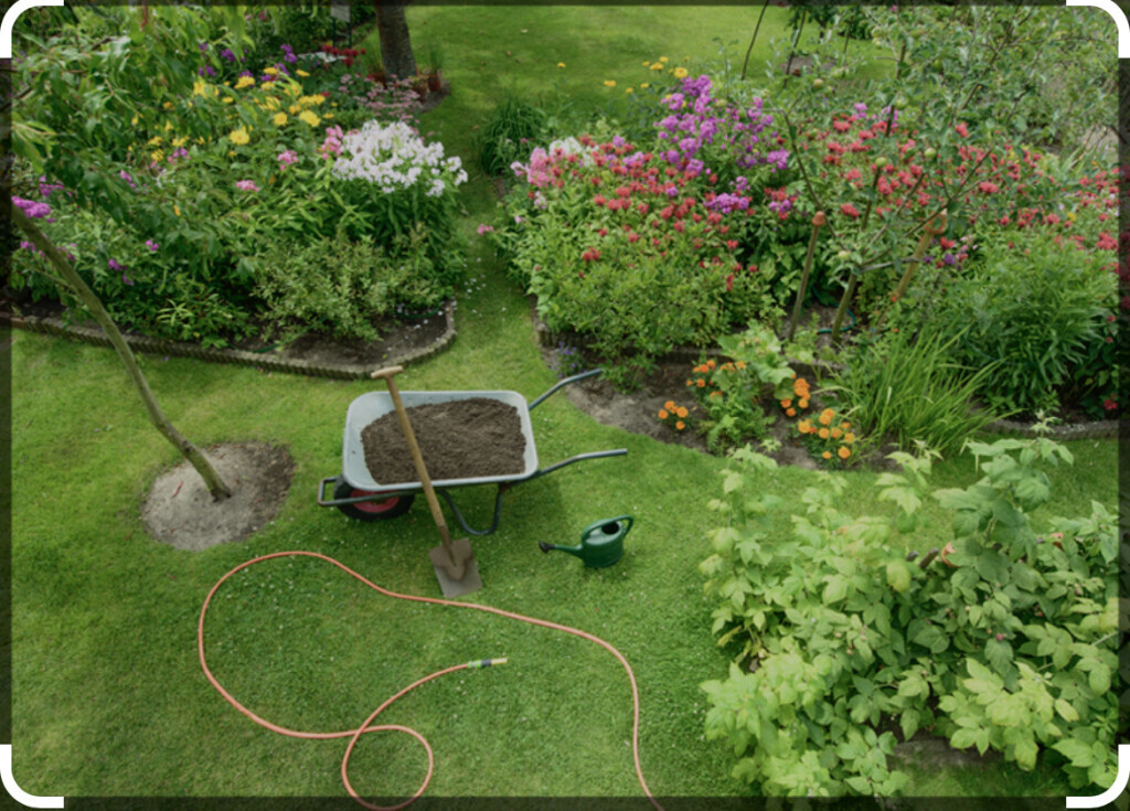 Bilder Gartenbau Güldogdu