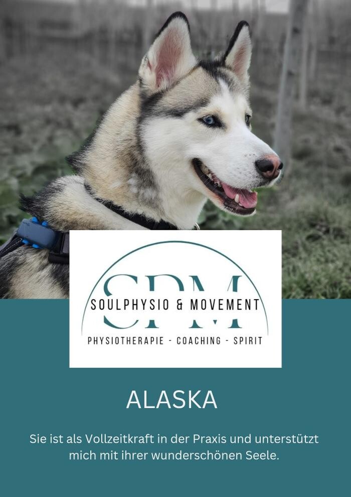 Bilder Privatpraxis für Physiotherapie, Coaching & Spiritualität Anika Holtzhäuser