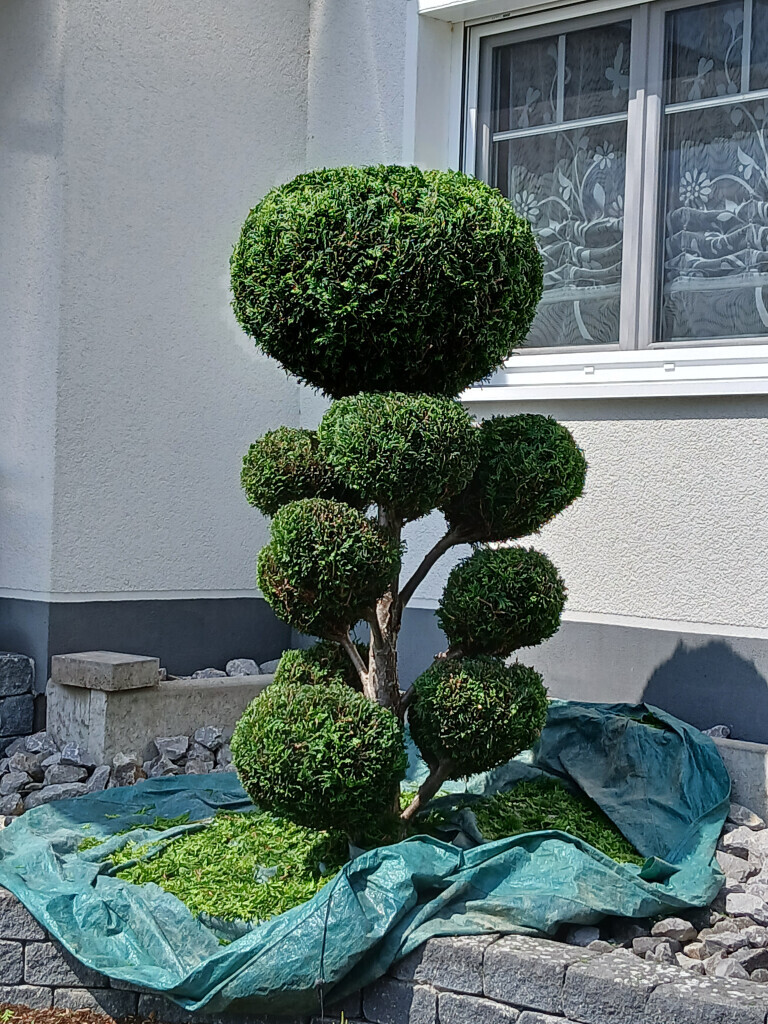 Bilder Gartenpflege Marco Giel