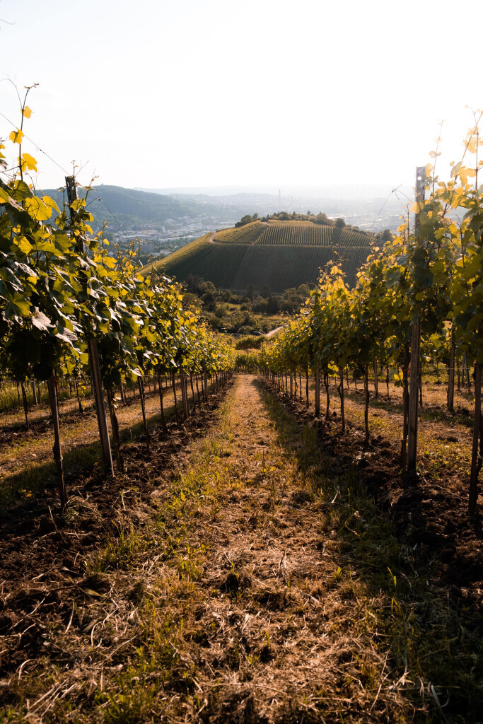 Bilder Schmid Immobilienverwaltung