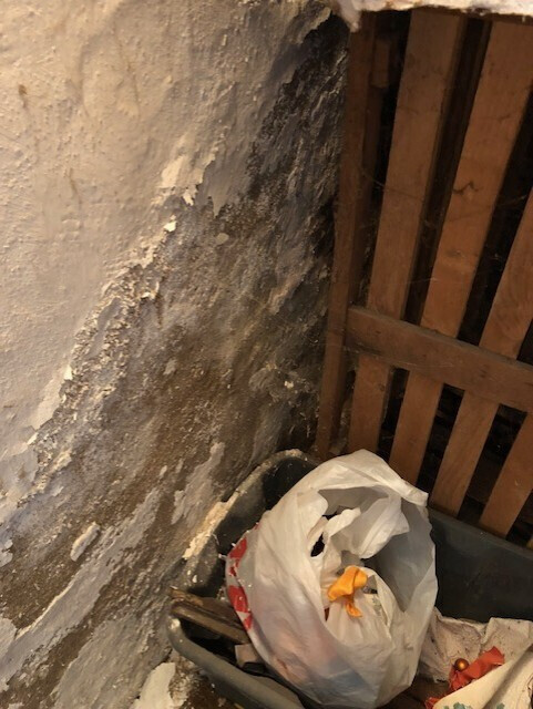 Bilder DEKRA zertifizierter Sachverständiger für Bauschadenbewertung