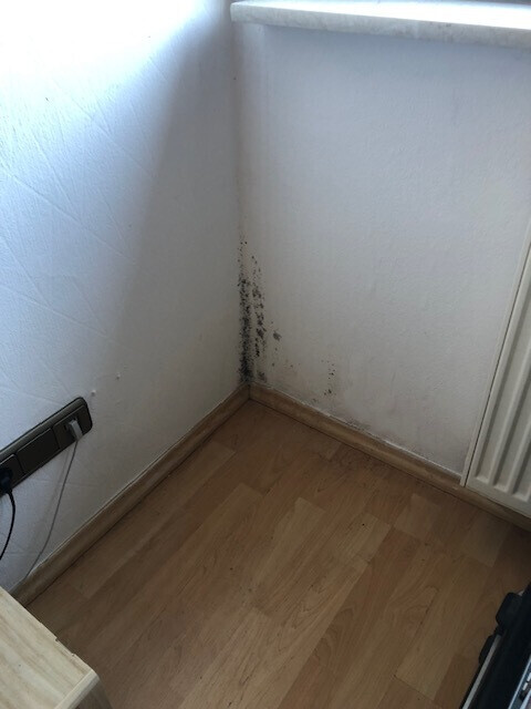 Bilder DEKRA zertifizierter Sachverständiger für Bauschadenbewertung