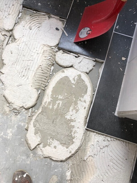 Bilder DEKRA zertifizierter Sachverständiger für Bauschadenbewertung