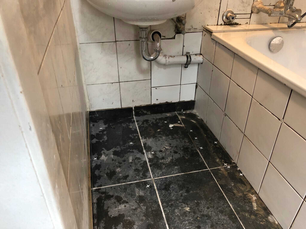 Bilder Meshibau
