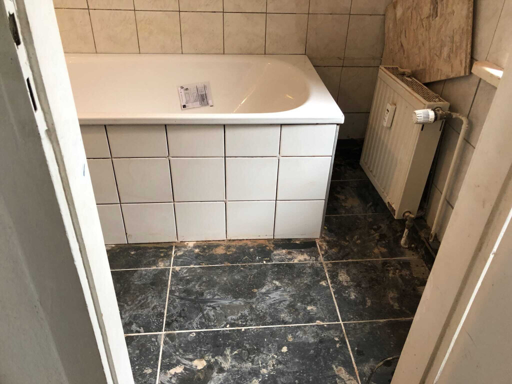 Bilder Meshibau
