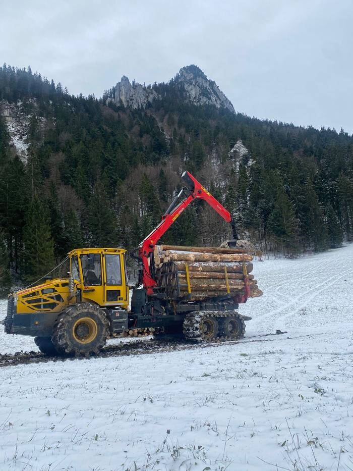 Bilder Forst Service Höhensteiger