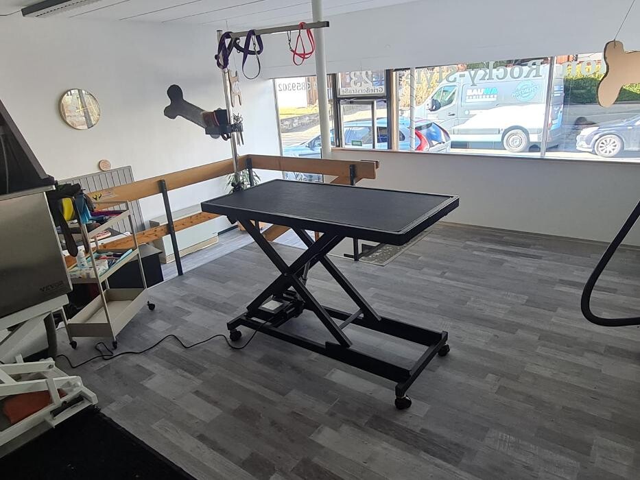 Bilder Hundesalon Engstingen