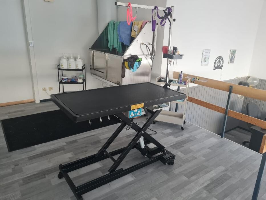 Bilder Hundesalon Engstingen