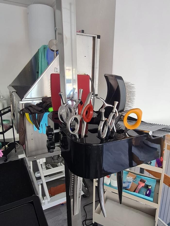 Bilder Hundesalon Engstingen