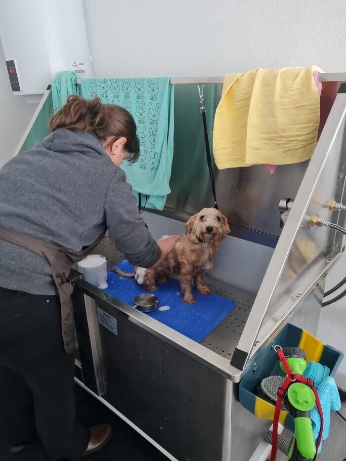 Bilder Hundesalon Engstingen